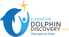 Fundación Dolphin Discovery