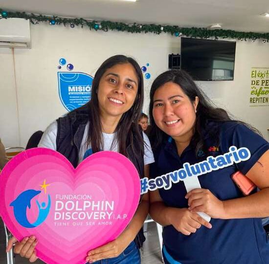 fundacion-dolphindiscovery-quiero-ser-voluntario-3